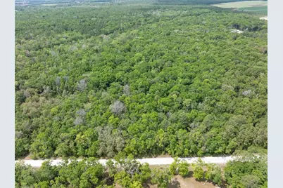 208 Street  139 Drive, O'Brien, FL 32071 - Photo 6