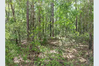 208 Street  139 Drive, O'Brien, FL 32071 - Photo 12