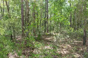 208 Street 139 Dr, O'Brien, FL 32071 - Photo 12