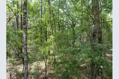 208 Street  139 Drive, O'Brien, FL 32071 - Photo 10