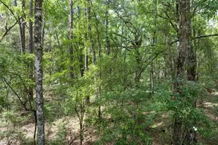 208 Street 139 Dr, O'Brien, FL 32071 - Photo 10