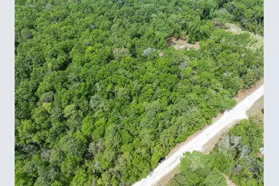 208 Street  139 Drive, O'Brien, FL 32071 - Photo 4