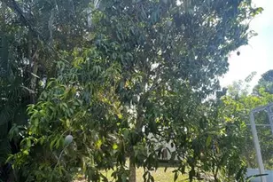 1150 SW Jumper St, Port Saint Lucie, FL 34983 - Photo 32