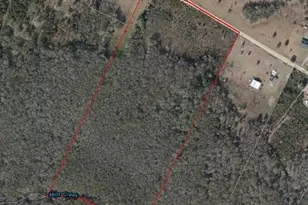 54452 Wildlife Way, Callahan, FL 32011 - Photo 12