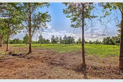 54452  Wildlife Way, Callahan, FL 32011 - Photo 8