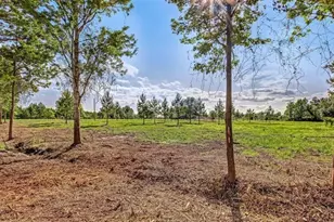 54452 Wildlife Way, Callahan, FL 32011 - Photo 8