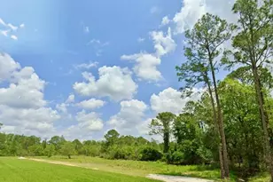 1218 Iris Ave, Sebring, FL 33875 - Photo 2