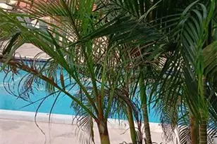 4169 SW 67th Ave, Davie, FL 33314 - Photo 16