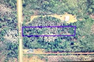 580 Sabal St, Orlando, FL 32833 - Photo 2