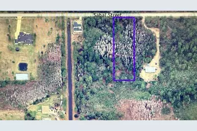 580  Sabal Street, Orlando, FL 32833 - Photo 4