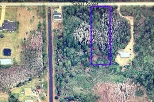 580 Sabal St, Orlando, FL 32833 - Photo 4