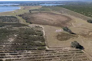 3073 Cr 627, Avon Park, FL 33825 - Photo 8