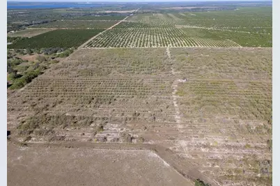 3073  Cr 627, Avon Park, FL 33825 - Photo 4