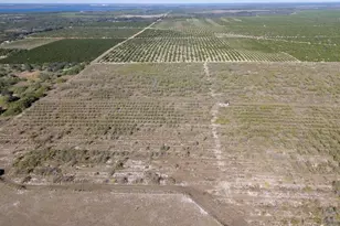 3073 Cr 627, Avon Park, FL 33825 - Photo 4