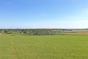 170 Angus Rd, Venus, FL 33960 - Photo 6