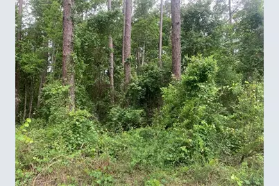 121  Coot Drive, Satsuma, FL 32148 - Photo 1