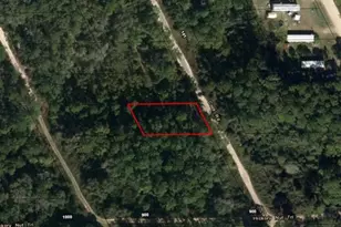 121 Coot Dr, Satsuma, FL 32148 - Photo 2