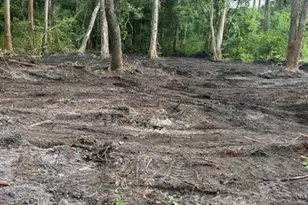 0 Anno St, Tampa, FL 33625 - Photo 14