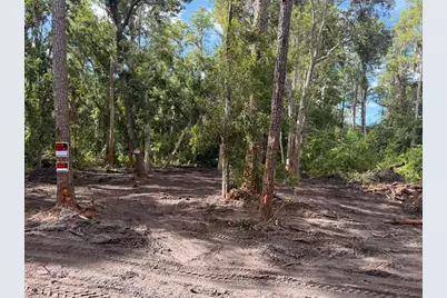0  Anno St, Tampa, FL 33625 - Photo 26