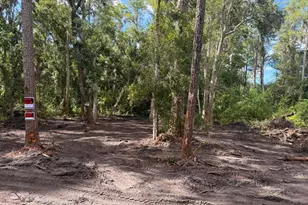 0 Anno St, Tampa, FL 33625 - Photo 26