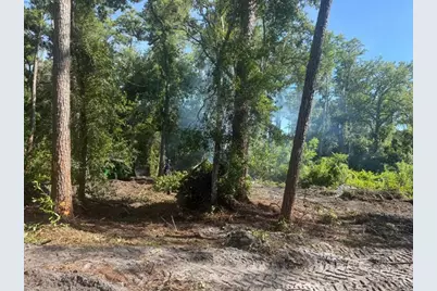 0  Anno St, Tampa, FL 33625 - Photo 16