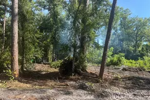 0 Anno St, Tampa, FL 33625 - Photo 16