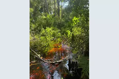 0  Anno St, Tampa, FL 33625 - Photo 22