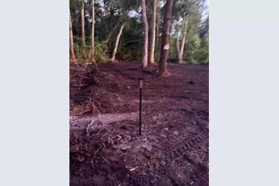 0  Anno St, Tampa, FL 33625 - Photo 20