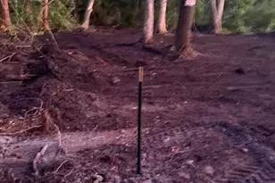 0 Anno St, Tampa, FL 33625 - Photo 20