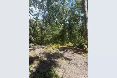 0  Anno St, Tampa, FL 33625 - Photo 12