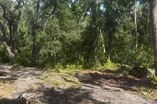 0 Anno St, Tampa, FL 33625 - Photo 12