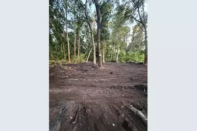 0  Anno St, Tampa, FL 33625 - Photo 4