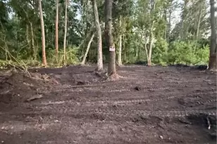 0 Anno St, Tampa, FL 33625 - Photo 4