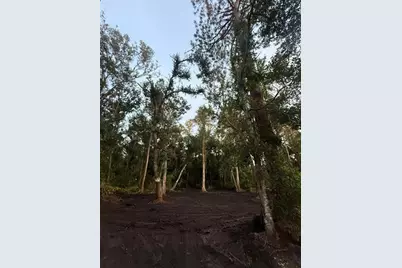 0  Anno St, Tampa, FL 33625 - Photo 18