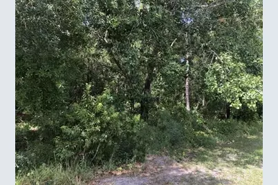 2345 N Yucca Rd, Avon Park, FL 33825 - Photo 1