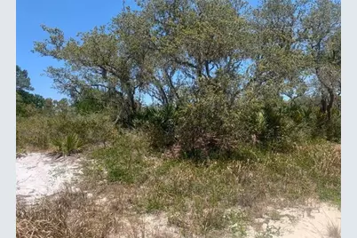 2924 W Quincy Rd, Avon Park, FL 33825 - Photo 1