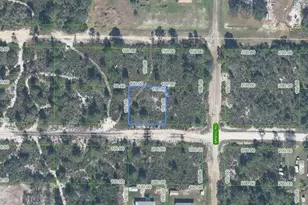 2918 W Gaffney Rd, Avon Park, FL 33825 - Photo 2