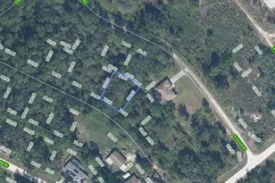 1956 W Tanager Rd, Avon Park, FL 33825 - Photo 2