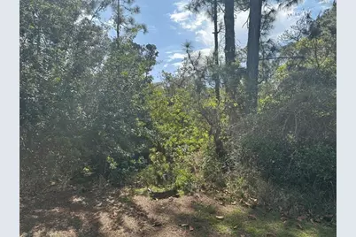 229  Caswell Ln, Lake Placid, FL 33852 - Photo 1