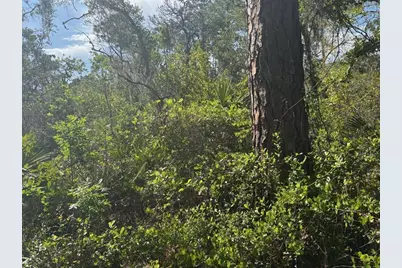229  Caswell Ln, Lake Placid, FL 33852 - Photo 2
