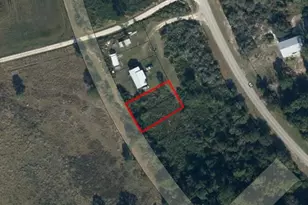 153 Disney Blvd, Avon Park, FL 33825 - Photo 2