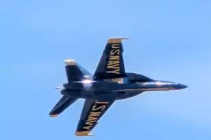 3100 NE 49th St, Fort Lauderdale, FL 33308 - Photo 42