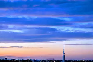 3100 NE 49th St, Fort Lauderdale, FL 33308 - Photo 8