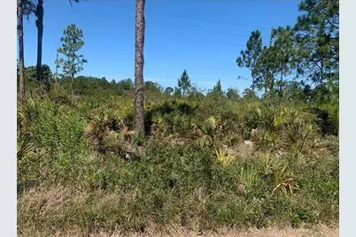 329  Phesant Blvd, Sebring, FL 33872 - Photo 1