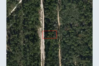 111  New York Ave, Satsuma, FL 32148 - Photo 2
