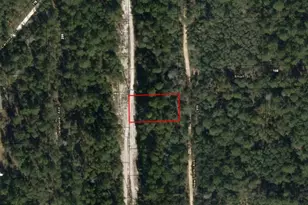 111 New York Ave, Satsuma, FL 32148 - Photo 2