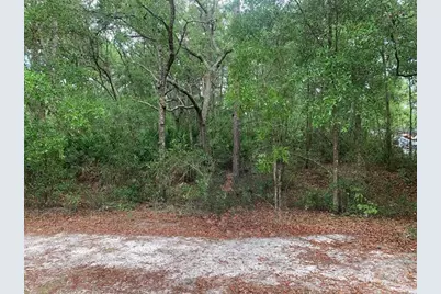 209  Highline Trail, Satsuma, FL 32189 - Photo 1