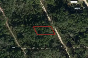 123 Coot Rd, Satsuma, FL 32189 - Photo 2