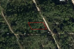 0 Coot Dr, Satsuma, FL 32189 - Photo 2