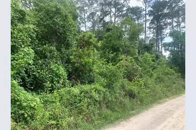 0  Coot Drive, Satsuma, FL 32189 - Photo 1